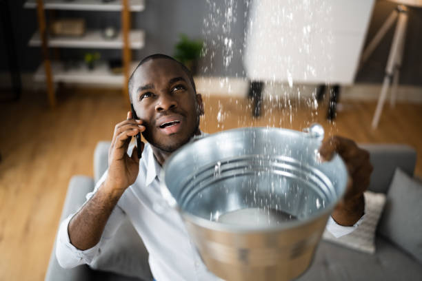 Best Flood damage cleanup  in Hemby Bridge, NC