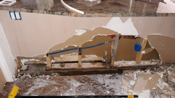 Best Mold removal after water damage  in Hemby Bridge, NC