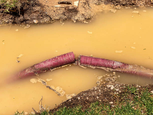 Local water damage restoration in Hemby Bridge, NC